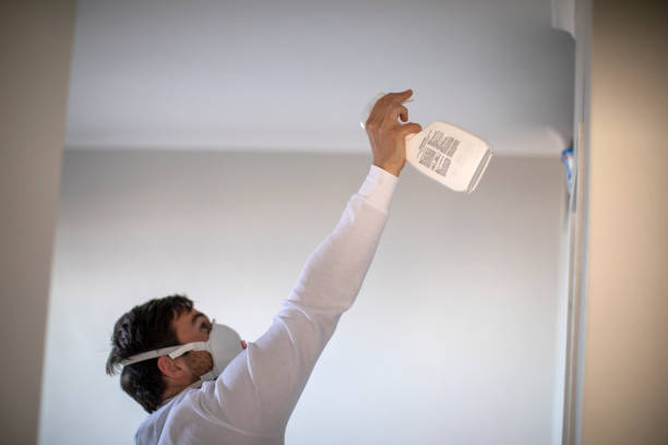 Best Attic Mold Removal  in Muldrow, OK