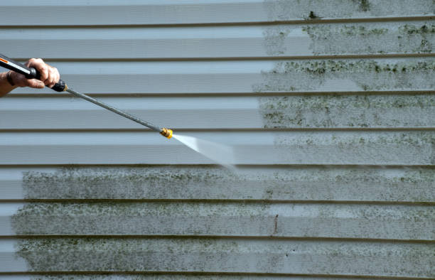 Best Residential Mold Removal  in Muldrow, OK