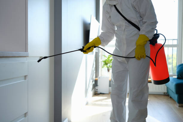 Attic Mold Removal in Muldrow, OK