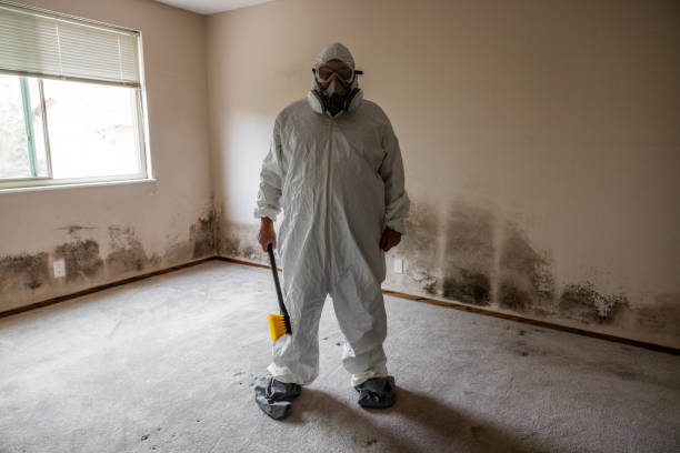 Mold Removal Process in Muldrow, OK