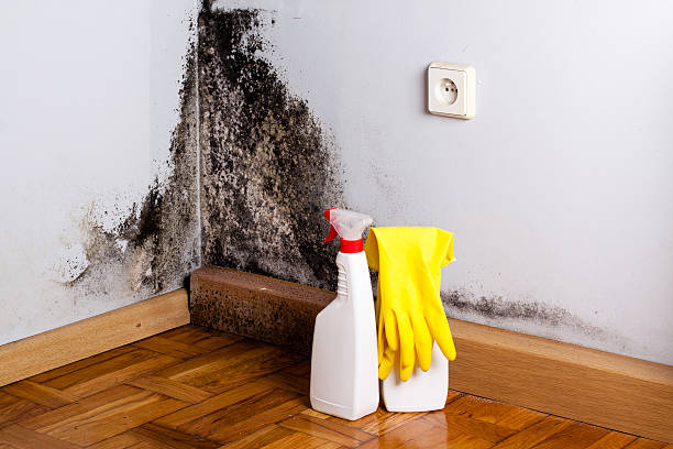 Best Residential Mold Removal  in Muldrow, OK
