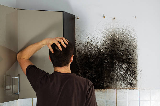 Best Office Mold Removal Services  in Muldrow, OK
