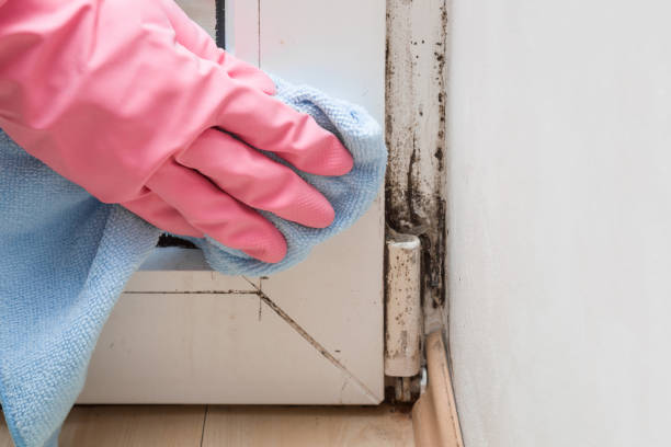 Best Mold Remediation  in Muldrow, OK