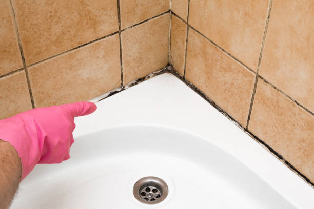 Best Home Mold Removal  in Muldrow, OK